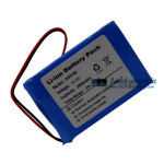 Μπαταρία για μέλλοντα DS2100A DS2100B DS2100Q - Μπαταρία αντικατάστασης